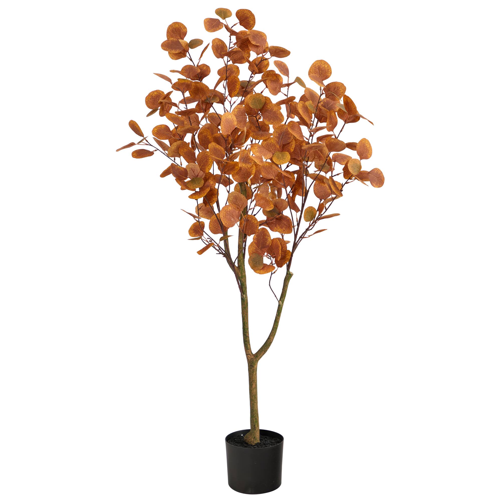 4ft. Potted Autumn Eucalyptus Tree